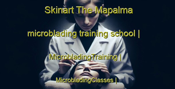 Skinart The Mapalma microblading training school | MicrobladingTraining | MicrobladingClasses | SkinartTraining-the Democratic Republic of the Congo